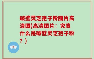 破壁灵芝孢子粉图片高清图(高清图片：究竟什么是破壁灵芝孢子粉？)