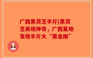 广西黑灵芝半斤(黑灵芝再现神奇，广西某地发现半斤大“黑金刚”