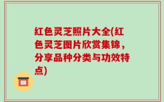 红色灵芝照片大全(红色灵芝图片欣赏集锦，分享品种分类与功效特点)
