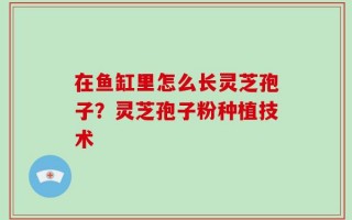 在鱼缸里怎么长灵芝孢子？灵芝孢子粉种植技术