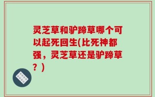 灵芝草和驴蹄草哪个可以起死回生(比死神都强，灵芝草还是驴蹄草？)