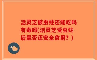 活灵芝被虫蛀还能吃吗有毒吗(活灵芝受虫蛀后是否还安全食用？)