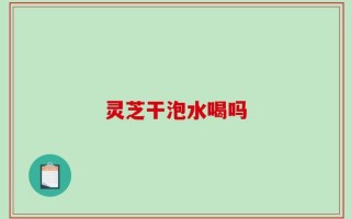 灵芝干泡水喝吗