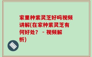 家里种紫灵芝好吗视频讲解(在家种紫灵芝有何好处？ - 视频解析)