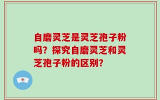 自磨灵芝是灵芝孢子粉吗？探究自磨灵芝和灵芝孢子粉的区别？