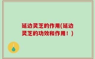 延边灵芝的作用(延边灵芝的功效和作用！)