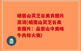 峨眉山灵芝谷美食图片高清(峨眉山灵芝谷美食图片：品尝山中美味牛肉和火锅)