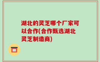 湖北的灵芝哪个厂家可以合作(合作甄选湖北灵芝制造商)