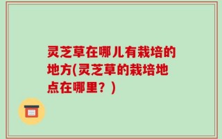 灵芝草在哪儿有栽培的地方(灵芝草的栽培地点在哪里？)