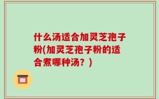 什么汤适合加灵芝孢子粉(加灵芝孢子粉的适合煮哪种汤？)