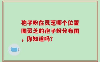 孢子粉在灵芝哪个位置图灵芝的孢子粉分布图，你知道吗？