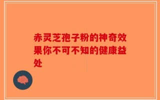 赤灵芝孢子粉的神奇效果你不可不知的健康益处