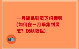 一月能采到灵芝吗视频(如何在一月采集到灵芝？视频教程)
