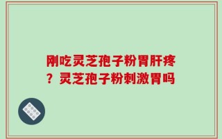 刚吃灵芝孢子粉胃肝疼？灵芝孢子粉刺激胃吗