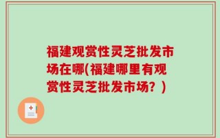 福建观赏性灵芝批发市场在哪(福建哪里有观赏性灵芝批发市场？)
