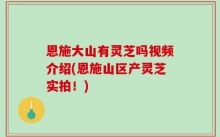 恩施大山有灵芝吗视频介绍(恩施山区产灵芝实拍！)