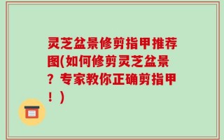灵芝盆景修剪指甲推荐图(如何修剪灵芝盆景？专家教你正确剪指甲！)
