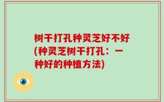树干打孔种灵芝好不好(种灵芝树干打孔：一种好的种植方法)