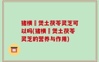猪横脷煲土茯苓灵芝可以吗(猪横脷煲土茯苓灵芝的营养与作用)