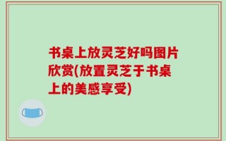 书桌上放灵芝好吗图片欣赏(放置灵芝于书桌上的美感享受)