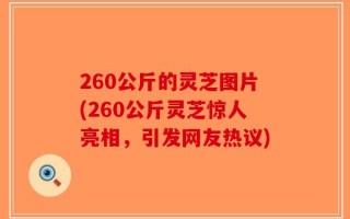 260公斤的灵芝图片(260公斤灵芝惊人亮相，引发网友热议)
