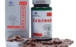 京丰灵芝孢子粉胶囊好还是粉剂好一些呢？