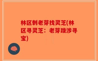 林区刺老芽找灵芝(林区寻灵芝：老芽跋涉寻宝)