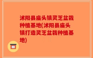 沭阳县庙头镇灵芝盆栽种植基地(沭阳县庙头镇打造灵芝盆栽种植基地)