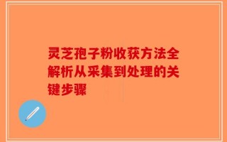 灵芝孢子粉收获方法全解析从采集到处理的关键步骤