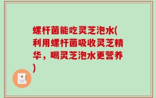 螺杆菌能吃灵芝泡水(利用螺杆菌吸收灵芝精华，喝灵芝泡水更营养)