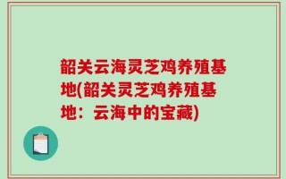 韶关云海灵芝鸡养殖基地(韶关灵芝鸡养殖基地：云海中的宝藏)