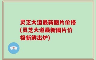灵芝大道最新图片价格(灵芝大道最新图片价格新鲜出炉)