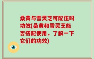桑黄与雪灵芝可配伍吗功效(桑黄和雪灵芝能否搭配使用，了解一下它们的功效)