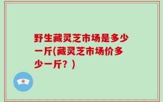 野生藏灵芝市场是多少一斤(藏灵芝市场价多少一斤？)