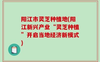 阳江市灵芝种植地(阳江新兴产业“灵芝种植”开启当地经济新模式)
