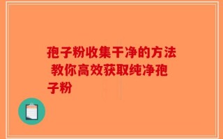 孢子粉收集干净的方法 教你高效获取纯净孢子粉