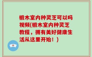 椴木室内种灵芝可以吗视频(椴木室内种灵芝教程，拥有美好健康生活从这里开始！)