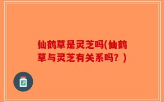 仙鹤草是灵芝吗(仙鹤草与灵芝有关系吗？)