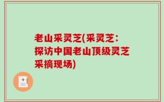 老山采灵芝(采灵芝：探访中国老山顶级灵芝采摘现场)