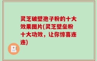 灵芝破壁孢子粉的十大效果图片(灵芝壁垒粉十大功效，让你惊喜连连)