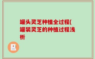 罐头灵芝种植全过程(罐装灵芝的种植过程浅析