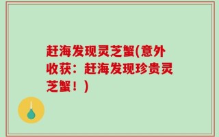 赶海发现灵芝蟹(意外收获：赶海发现珍贵灵芝蟹！)