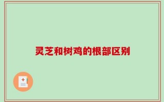 灵芝和树鸡的根部区别