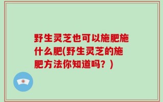 野生灵芝也可以施肥施什么肥(野生灵芝的施肥方法你知道吗？)