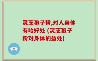 灵芝孢子粉,对人身体有哈好处 (灵芝孢子粉对身体的益处)