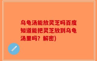 乌龟汤能放灵芝吗百度知道能把灵芝放到乌龟汤里吗？解密)