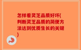 怎样看灵芝品质好坏(判断灵芝品质的简便方法达到优质生长的关键)