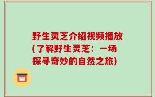 野生灵芝介绍视频播放(了解野生灵芝：一场探寻奇妙的自然之旅)