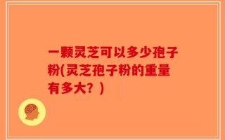 一颗灵芝可以多少孢子粉(灵芝孢子粉的重量有多大？)