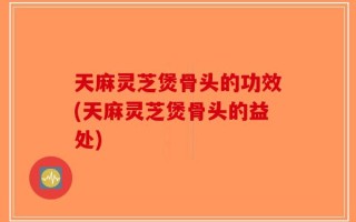 天麻灵芝煲骨头的功效(天麻灵芝煲骨头的益处)